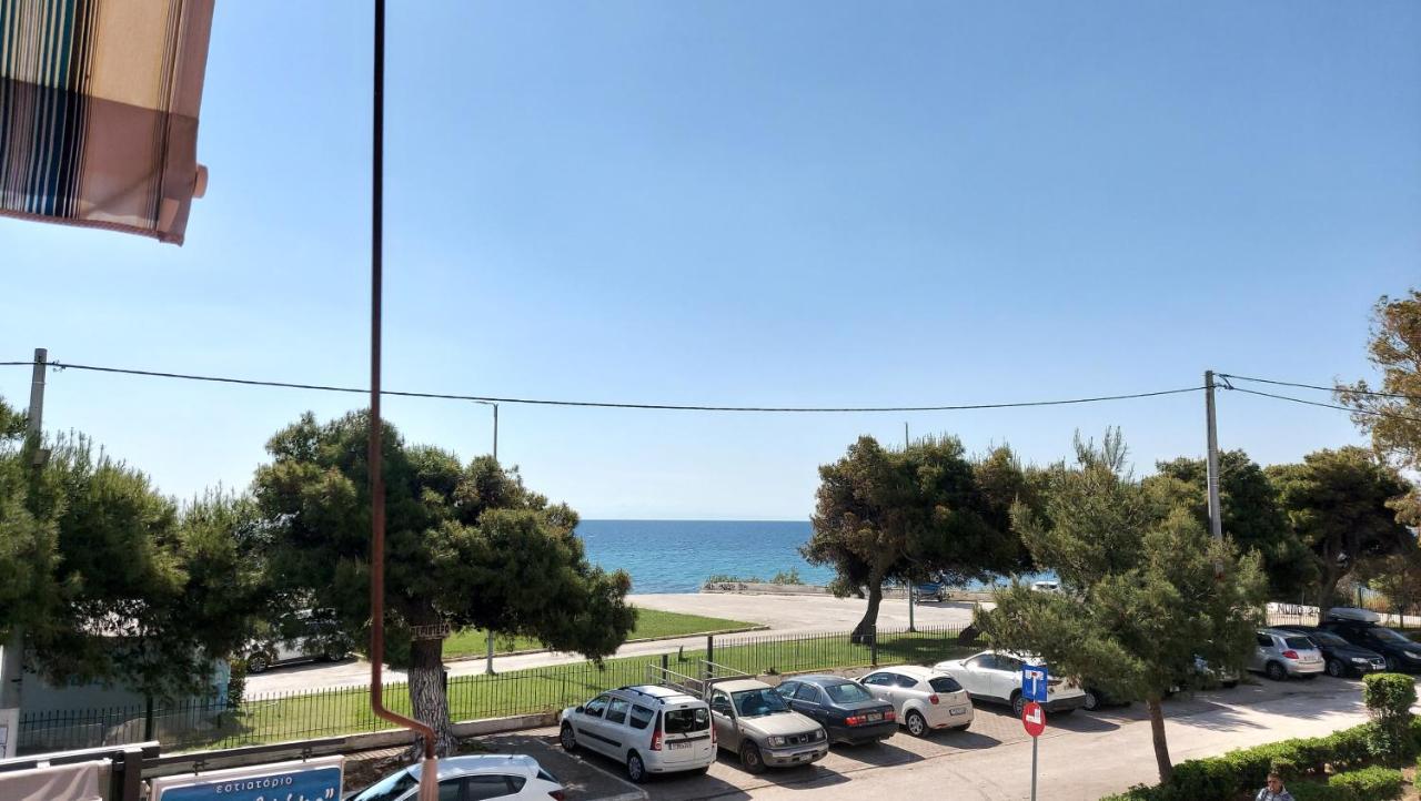 Dolphin 1 Apartman Ártemida Kültér fotó